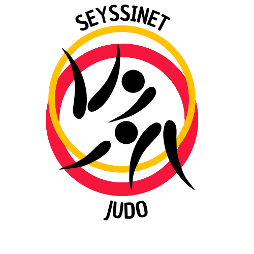 Logo de SEYSSINET JUDO